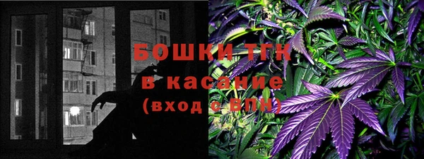 гидра Белоозёрский
