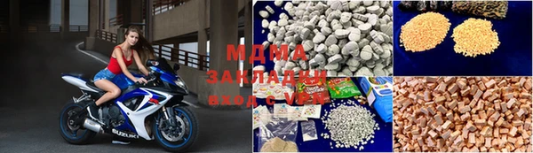 индика Бородино